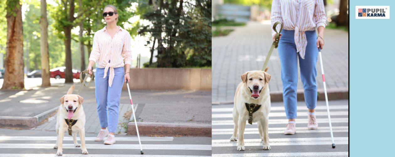 Pies staje się jednością z człowiekiem. Na zdjęciu po lewej kobieta przechodzi przez pasy prowadzona przez labradora i laskę dla niewidomych. Po prawej to samo zdjęcie, tylko z większego bliska. Po skrajnie prawej stronie niebieski pas i logo pupilkarma. 